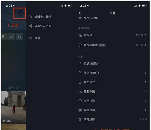 探秘抖音小店达人榜（打造自己的小店）