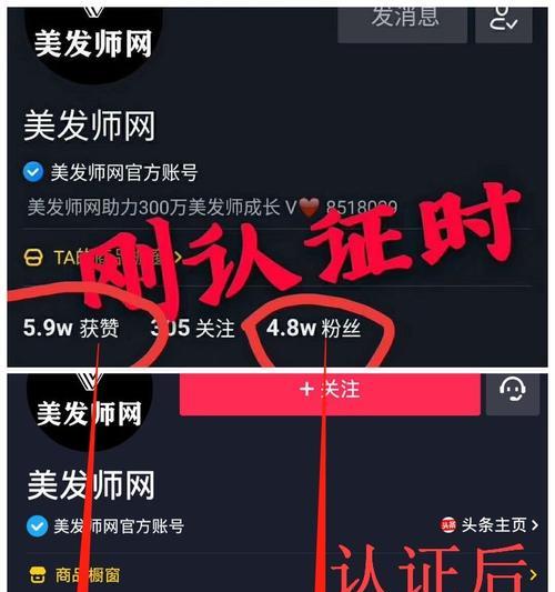 抖音兴趣认证条件及详解（了解抖音兴趣认证所需的条件和步骤）
