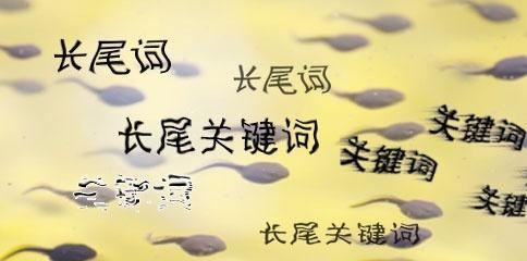 为什么SEO公司呼吁关注长尾（探究长尾对于SEO排名的影响及其重要性）