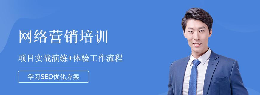 SEO技能在网络营销中的重要性（为什么SEO是提升网站流量和品牌知名度的关键）