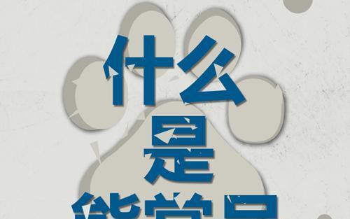 百度熊掌号——SEO的福音（熊掌号优化的重要性与方法）