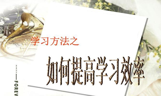 提高网站优化效率的十五条建议（让你的网站SEO更加）