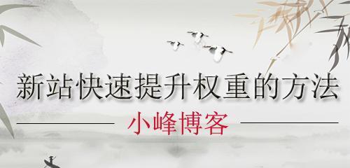 从零到一，打造SEO优化策略（喜提新站）