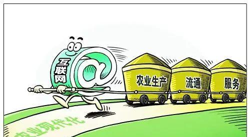 新手SEOer如何避免制作网站的弯路（15个实用技巧助你少走弯路）