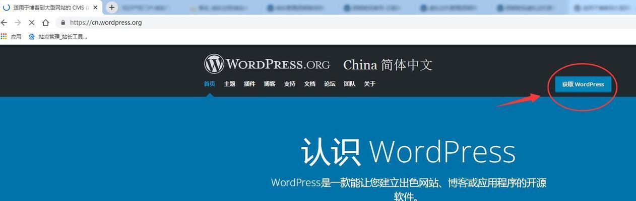新手快速搭建网站详解（教你如何轻松建立自己的网站）