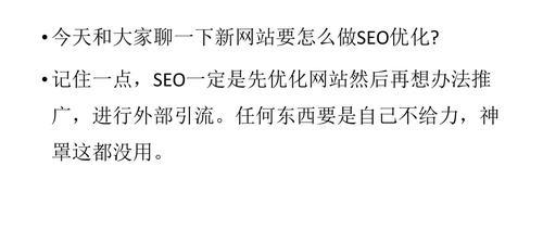 新网站SEO优化细则全解析（如何让你的新网站在搜索引擎中脱颖而出）