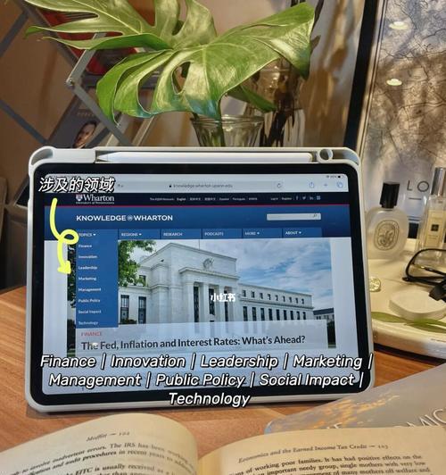 如何制作一个高质量的英文网站（关键步骤和实用技巧）