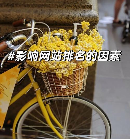 影响网站排名的五大因素（学会如何优化你的网站）