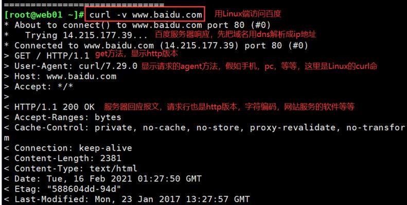 网站页面访问升级的处理方法（如何应对不断变化的用户需求）