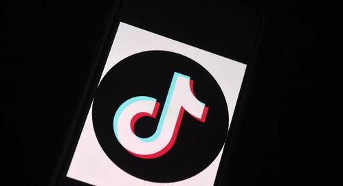 抖音新人扶持计划（打造用户生态，优化直播体验）