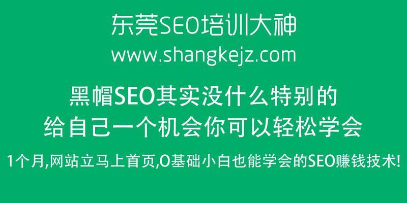 打造高点击率网站的SEO技巧（学会如何让你的网站在搜索引擎中排名更靠前）