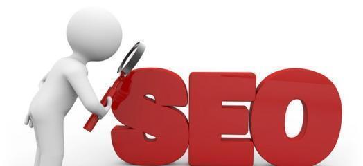 SEO搜索引擎优化的关键点（掌握SEO技巧）