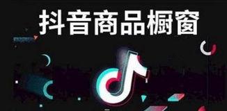 抖音最易上热门的文案分享技巧（让你成为抖音上的热门创作者）