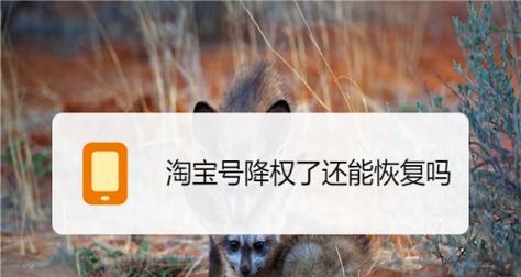淘宝降权是什么意思？如何能恢复正常？