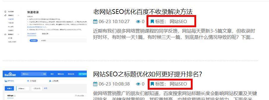 如何提升网站排名（掌握SEO排名的关键技巧）