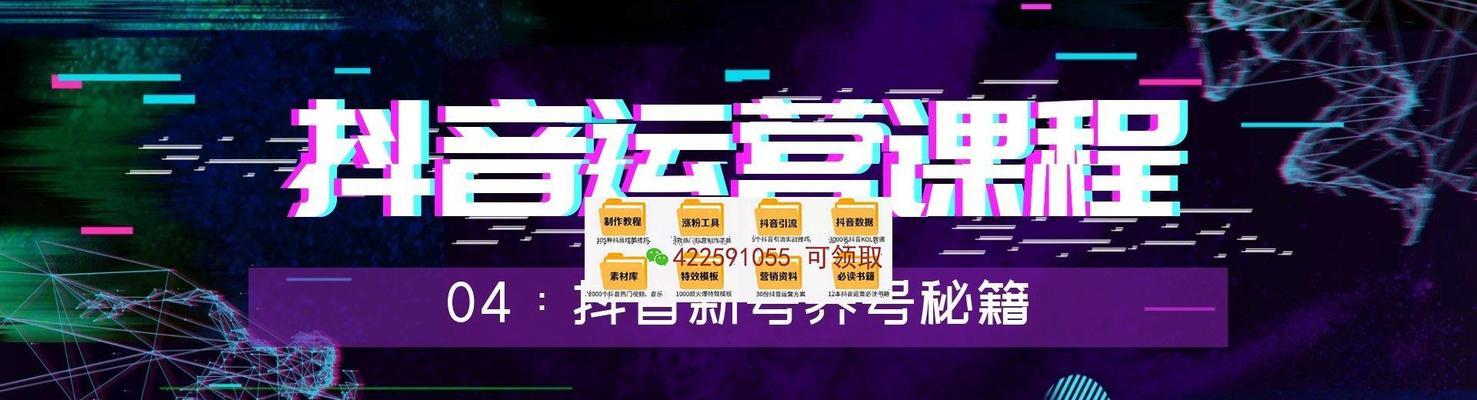抖音运营从零到专业化（全面掌握抖音运营中的汇）
