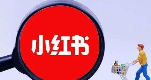 小红书笔记违规词有哪些？小红书笔记违规词有哪些需要注意？
