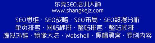 黑帽SEO技术的危害与应对