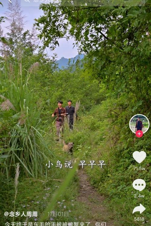 抖音隐私保护绿色开启（抖音隐私保护策略）