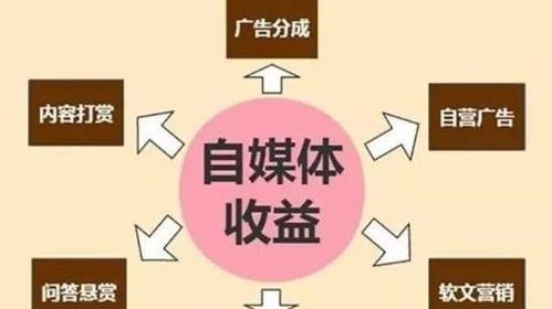  新手如何做自媒体？自媒体入门有哪些方法？
