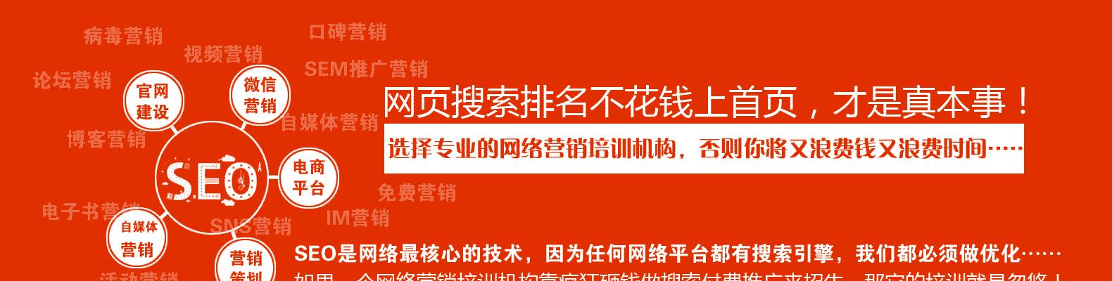 如何准确诊断网站SEO问题（掌握SEO确诊技巧）