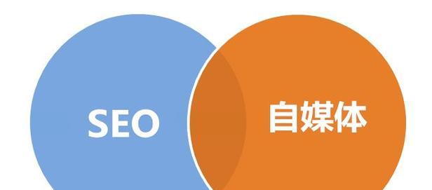 如何选择进行网络SEO优化（掌握技巧提高排名效果）