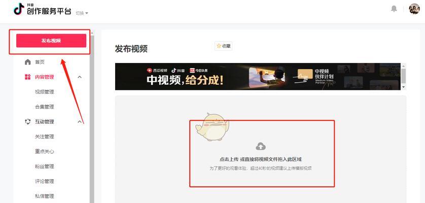 打造专业的创作团队，提升作品质量（打造专业的创作团队）