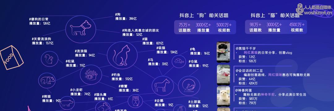 探析抖音电商罗盘交易构成（揭秘电商罗盘交易的构成及影响因素）