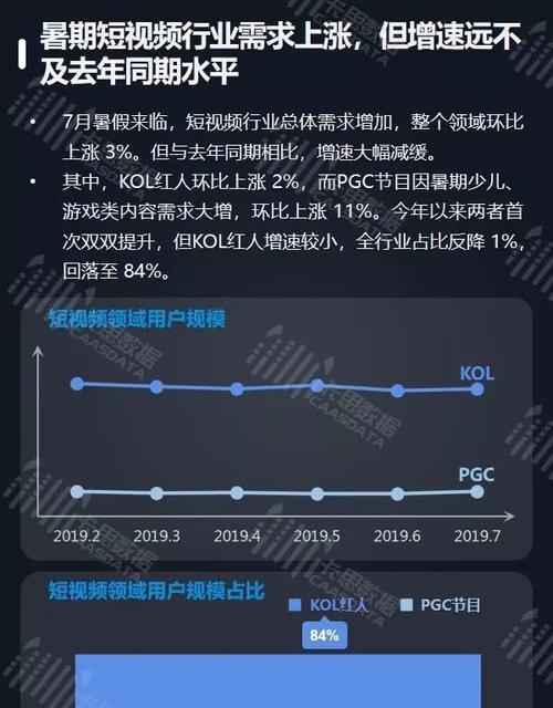 抖音粉丝数量与收入的关系解析（揭秘抖音达人如何利用粉丝数量赚取收入）