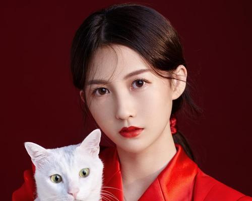 抖音红色灯牌教程（打造独特的抖音个人品牌形象）