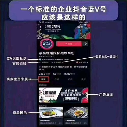 抖音免费蓝V开通指南（拓展你的影响力）