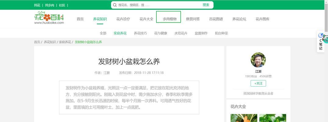 如何避免网站过度优化？掌握SEO最佳实践！