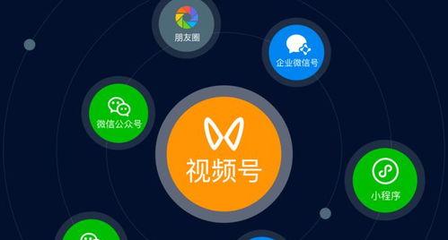  吸引人的视频号名字有哪些？视频号名字如何吸引人？