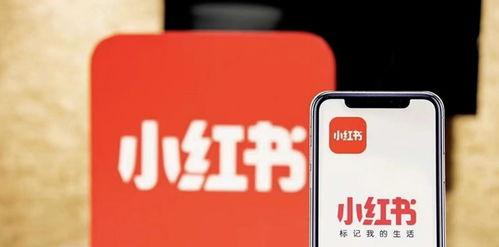 小红书信息流广告投放有哪些缺点？投放过程中需要注意什么？