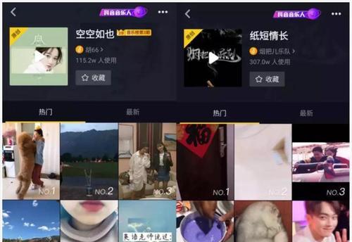 抖音侵权行为有哪些？如何避免侵权风险？
