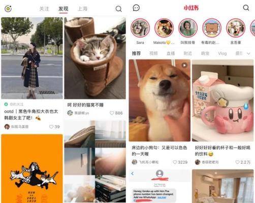 小红书退货后多久能收到退款？退款流程是怎样的？