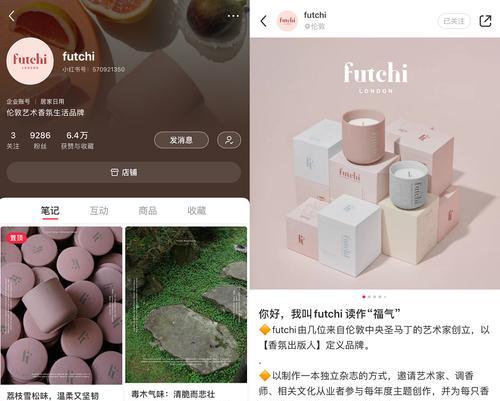 發小紅書如何盈利？平台的商業模式和盈利途徑是什麽？