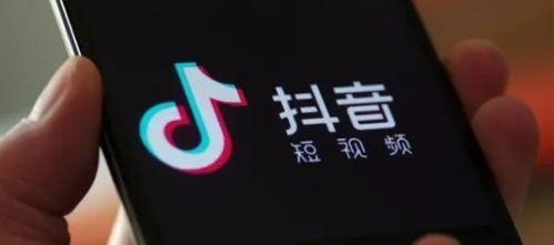 抖音开放平台入口在哪里？怎样进入开放平台？