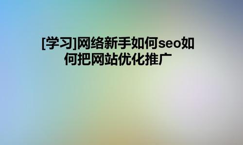 网络推广中哪些优化工作是必不可少的？如何有效执行这些优化任务？