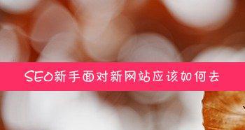 网站优化过程中如何快速度过沙盒期？小编教你有效策略！