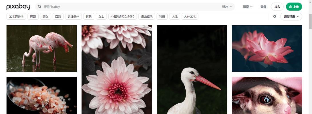 哪里可以找到高质量的免费视频素材？