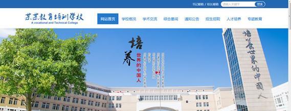 网站模板如何自定义？有哪些高级功能？