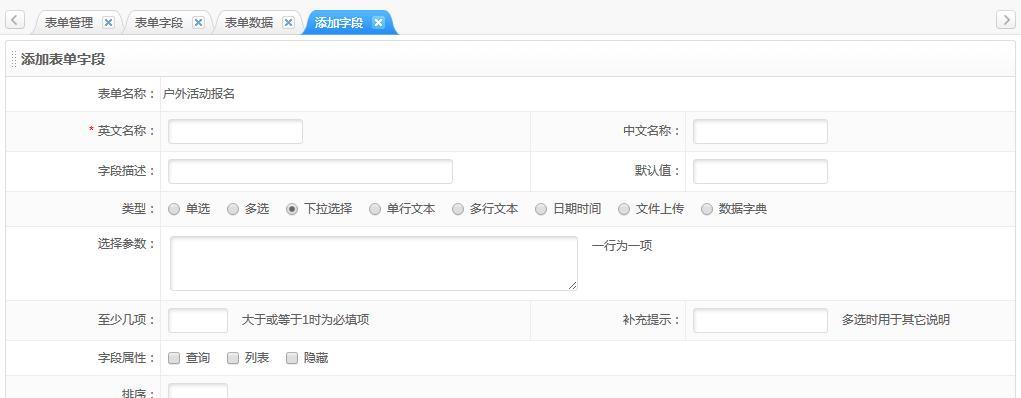 网站模板如何自定义？有哪些高级功能？