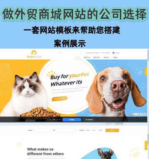网站建设服务包括哪些内容？如何选择优质服务？