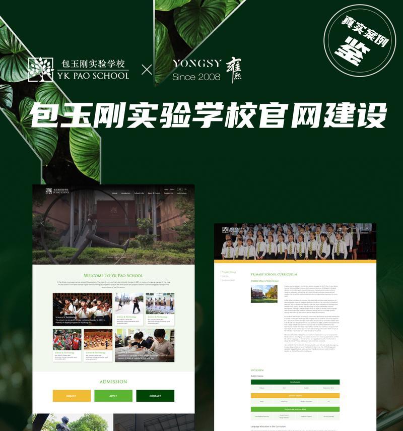 为何选择专业网站建设服务？