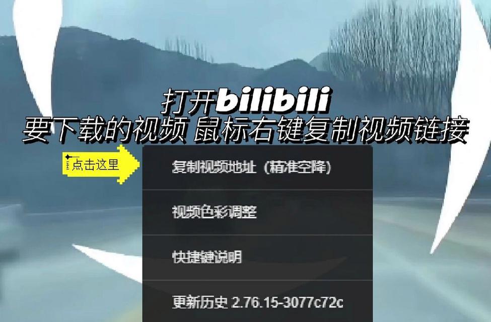 下载哔哩哔哩.视频需要什么工具？