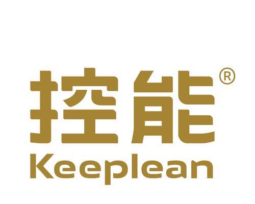 垂直控素引擎如何帮助提升网站排名？