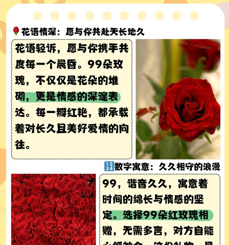15朵玫瑰的花语和代表意义是什么？