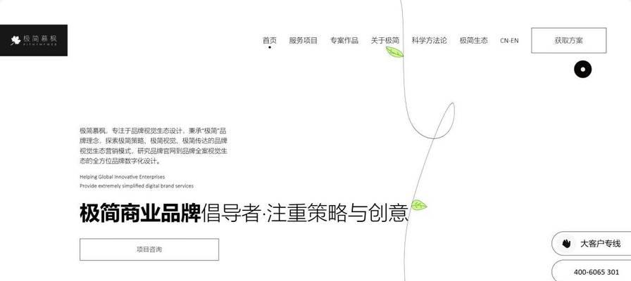 2025年国内有哪些权威的网站建设公司？