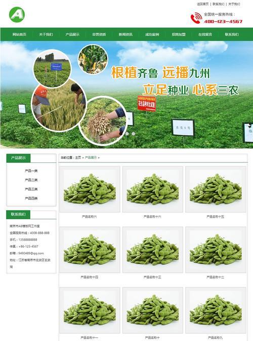 手机版网站开发的大体步骤是什么？